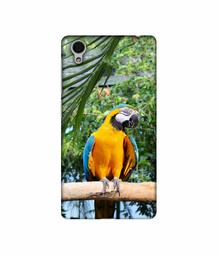 Amazon Brand - Solimo Designer Macaw Bird 3D Printed Hard Back Case Mobile Cover for Vivo Y51L