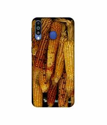 Amazon Brand - Solimo Designer Corns 3D Printed Hard Back Case Mobile Cover for Samsung Galaxy M21