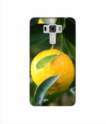 Amazon Brand - Solimo Designer Lemon 3D Printed Hard Back Case Mobile Cover for Asus Zenfone 3 Laser ZC551KL