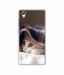 Amazon Brand - Solimo Designer Sleepy Kitten UV Printed Soft Back Case Mobile Cover for Vivo Y51L