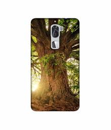 Amazon Brand - Solimo Designer Tree Trunk 3D Printed Hard Back Case Mobile Cover for Coolpad Cool1 Dual