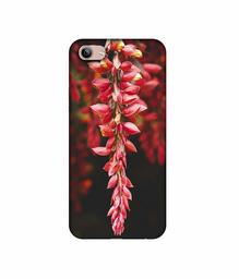 Amazon Brand - Solimo Designer Flowers Photograpy 3D Printed Hard Back Case Mobile Cover for Vivo Y81i