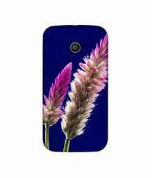 Amazon Brand - Solimo Designer Wheat Flower 3D Printed Hard Back Case Mobile Cover for Motorola Moto E 1st Generation