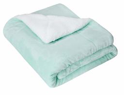 AmazonBasics Kids Ultra-Soft Micromink Sherpa Blanket - Twin, Mountain Mint Green