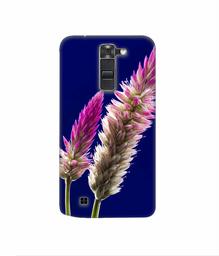 Amazon Brand - Solimo Designer Wheat Flower 3D Printed Hard Back Case Mobile Cover for LG K7