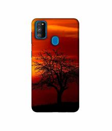 Amazon Brand - Solimo Designer Nature View 3D Printed Hard Back Case Mobile Cover for Samsung Galaxy M21 / M30s