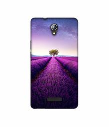 Amazon Brand - Solimo Designer Farm Photography 3D Printed Hard Back Case Mobile Cover for Micromax Canvas Pace 4G Q416