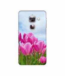 Amazon Brand - Solimo Designer Pink Lily 3D Printed Hard Back Case Mobile Cover for LeEco Le Max 2