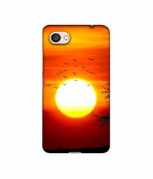 Amazon Brand - Solimo Designer Sunset View 3D Printed Hard Back Case Mobile Cover for Xiaomi Redmi Y1 Lite