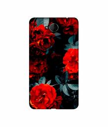 Amazon Brand - Solimo Designer Rose Photography 3D Printed Hard Back Case Mobile Cover for Microsoft Lumia 650