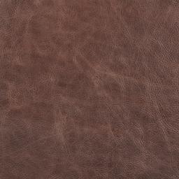 Stone & Beam Dark Brown Swatch, Stone & Beam