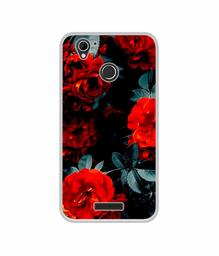 Amazon Brand - Solimo Designer Rose Photography UV Printed Soft Back Case Mobile Cover for Lyf Water 7S