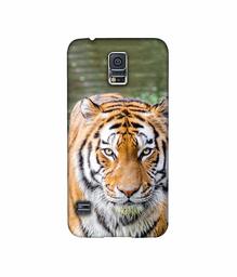 Amazon Brand - Solimo Designer Tiger in Water 3D Printed Hard Back Case Mobile Cover for Samsung Galaxy S5 i9600