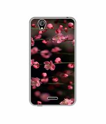 Amazon Brand - Solimo Designer Pink Flowers UV Printed Soft Back Case Mobile Cover for Gionee P5 Mini