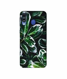 Amazon Brand - Solimo Designer Leaf Imperation 3D Printed Hard Back Case Mobile Cover for Samsung Galaxy M21