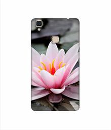 Amazon Brand - Solimo Designer Lotus 3D Printed Hard Back Case Mobile Cover for Vivo V3 Max