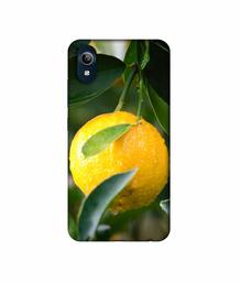 Amazon Brand - Solimo Designer Lemon 3D Printed Hard Back Case Mobile Cover for Vivo Y91i