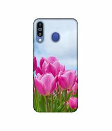 Amazon Brand - Solimo Designer Pink Lily 3D Printed Hard Back Case Mobile Cover for Samsung Galaxy M21