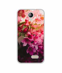 Amazon Brand - Solimo Designer Blossom Weather UV Printed Soft Back Case Mobile Cover for Lephone W2