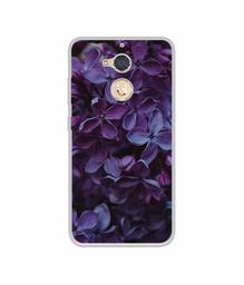 Amazon Brand - Solimo Designer Purple Flowers UV Printed Soft Back Case Mobile Cover for Gionee S6 Pro