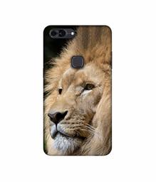 Amazon Brand - Solimo Designer Lion UV Printed Soft Back Case Mobile Cover for Lava Z90