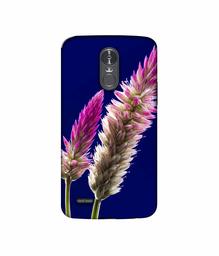 Amazon Brand - Solimo Designer Wheat Flower 3D Printed Hard Back Case Mobile Cover for LG Stylus 3