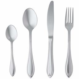 Amazonbasics 24-Piece Flatware Set, Silver - Service for 6 [classic style]