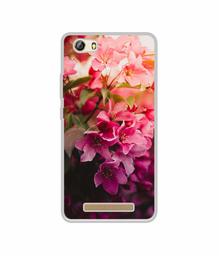 Amazon Brand - Solimo Designer Blossom Weather UV Printed Soft Back Case Mobile Cover for Gionee Marathon M5 lite