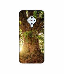 Amazon Brand - Solimo Designer Tree Trunk 3D Printed Hard Back Case Mobile Cover for Vivo S1 Pro