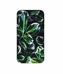 Amazon Brand - Solimo Designer Leaf Imperation 3D Printed Hard Back Case Mobile Cover for Samsung Galaxy S7 Edge