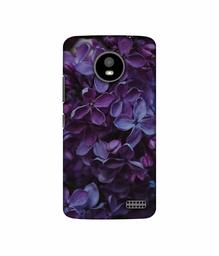 Amazon Brand - Solimo Designer Purple Flowers 3D Printed Hard Back Case Mobile Cover for Motorola Moto E4