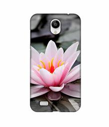 Amazon Brand - Solimo Designer Lotus 3D Printed Hard Back Case Mobile Cover for Vivo Y21L