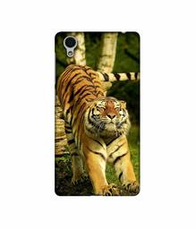 Amazon Brand - Solimo Designer Tiger 3D Printed Hard Back Case Mobile Cover for Vivo Y51L