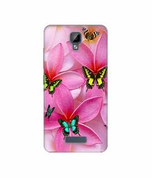 Amazon Brand - Solimo Designer B-Butterflies 3D Printed Hard Back Case Mobile Cover for Gionee P7 Max