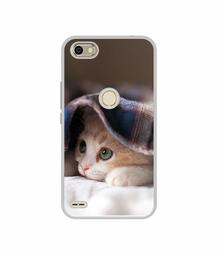 Amazon Brand - Solimo Designer Sleepy Kitten UV Printed Soft Back Case Mobile Cover for Itel S21