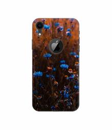 Amazon Brand - Solimo Designer Flower Photograpy 3D Printed Hard Back Case Mobile Cover for Apple iPhone XR (Logo Cut)