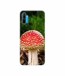 Amazon Brand - Solimo Designer Red Mushroom 3D Printed Hard Back Case Mobile Cover for Realme C3