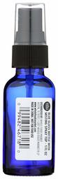 Whole Foods Market, Blue Glass Bottle with Misting Spray Top, 1 fl oz