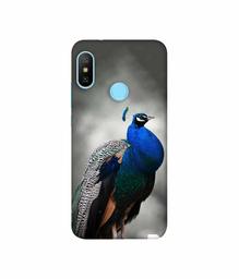 Amazon Brand - Solimo Designer Peacock 3D Printed Hard Back Case Mobile Cover for Xiaomi Redmi Note 6 pro