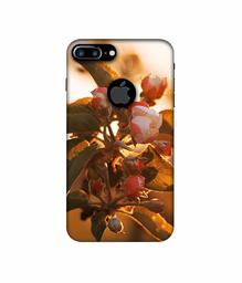 Amazon Brand - Solimo Designer Flowers 3D Printed Hard Back Case Mobile Cover for Apple iPhone 7 Plus (Logo Cut)