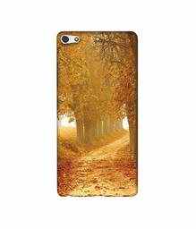 Amazon Brand - Solimo Designer Autumn Scene 3D Printed Hard Back Case Mobile Cover for Gionee Elife S7