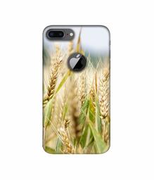 Amazon Brand - Solimo Designer Wheat Plant 3D Printed Hard Back Case Mobile Cover for Apple iPhone 8 Plus (with Logo Cut)