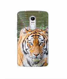 Amazon Brand - Solimo Designer Tiger in Water 3D Printed Hard Back Case Mobile Cover for Lenovo Vibe X3