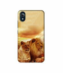 Amazon Brand - Solimo Designer Lion with Lioness 3D Printed Hard Back Case Mobile Cover for Vivo Y91i