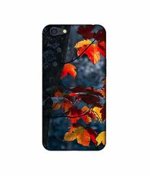 Amazon Brand - Solimo Designer Autumn Leaf 3D Printed Hard Back Case Mobile Cover for Oppo A71