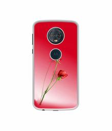 Amazon Brand - Solimo Designer Red Roses UV Printed Soft Back Case Mobile Cover for Motorola Moto G6 Plus