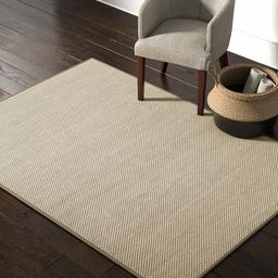 Amazon Brand – Rivet Woven Bordered Sisal Area Rug, 5 x 7 Foot, Grey