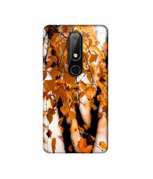 Amazon Brand - Solimo Designer Autumn Photography 3D Printed Hard Back Case Mobile Cover for Nokia 6.1 Plus