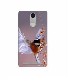 Amazon Brand - Solimo Designer Bird 3D Printed Hard Back Case Mobile Cover for Lenovo K5 Note