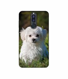 Amazon Brand - Solimo Designer White Dog UV Printed Soft Back Case Mobile Cover for Huawei Honor 9i